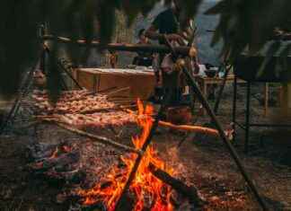 Chefs on Fire: Parrilleros internacionales en Madrid news-09082024-102501