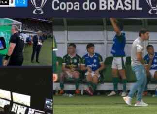 Expulsan al DT de Palmeiras por tocarse en partido de Copa Brasil news-12082024-034143
