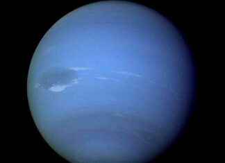 10 datos curiosos sobre Neptuno, el planeta más alejado del Sol news-13082024-133917