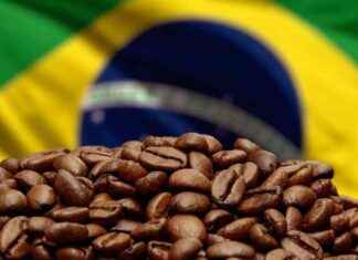 Heladas en Brasil provocan aumento de precios del café: impacto en suministro global news-16082024-081136