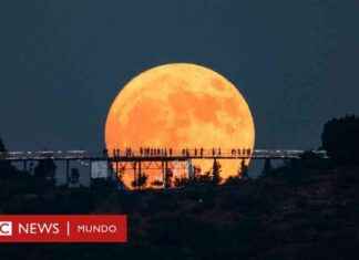 Superluna azul: Imágenes y explicación del fenómeno astronómico – BBC News Mundo news-20082024-131626