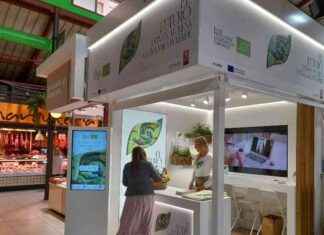 Cómo identificar productos ecológicos en mercados de Madrid, Barcelona y Valencia – Bio Eco Actual news-29082024-231441