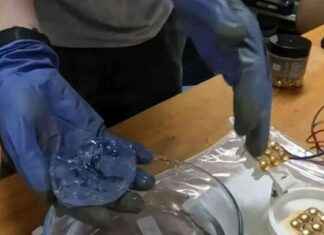 Cómo un ‘cerebro de gelatina’ aprende a jugar videojuegos news-01092024-111923