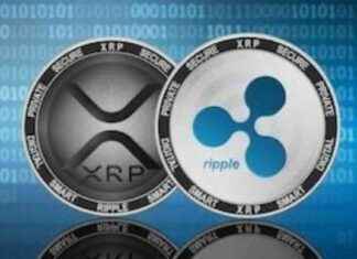 El precio de Ripple y su relación con el FUD: ¿Qué impacto tiene en los inversores? news-15092024-051000