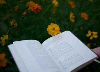 Impacto del cambio climático en la industria editorial: Libros más delgados y tipografía especial news-17092024-191933