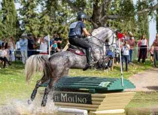 Instalaciones de calidad para la Gran Semana Anglo-Árabe en El Molino news-21092024-111528