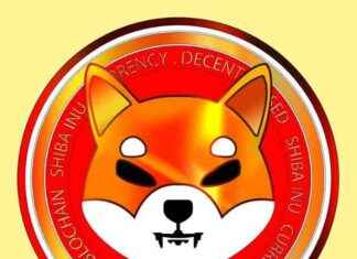 Por qué SHIB podría subir un 15% news-22092024-084544