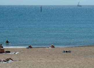 Cadáver encontrado en la playa de Bogatell de Barcelona: Impacto en la comunidad local. news-22092024-124525