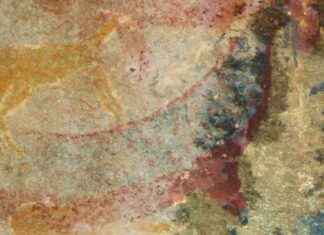 Posible inspiración del arte rupestre sudafricano en especie extinta news-23092024-045253