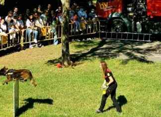 Día Mundial de los Animales: Actividades gratuitas en Valencia news-23092024-182034