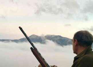 Aves en el punto de mira: Palomas y zorzales – Caza sostenible y ética news-05102024-031735