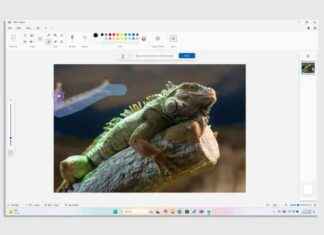 El renacimiento de Microsoft Paint: ¿El futuro de la edición de imágenes? news-07102024-213923