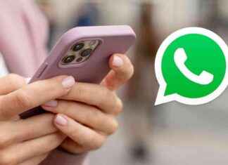 Cómo activar y usar el modo Google en WhatsApp para buscar rápidamente news-11102024-184832