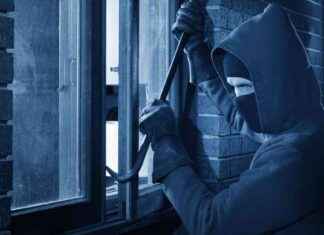 Función Ring Doorbell AI: Advertencia a Delincuentes – La Nota del Día México news-14102024-135148