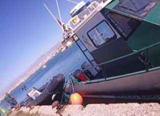 Desmanteladas mafias de inmigración ilegal en Almería: 700 detenidos news-21102024-211321