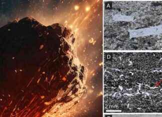 Impactante colisión de un meteorito hace 3.000 millones de años: la bomba fertilizante para la Tierra. news-04112024-021237