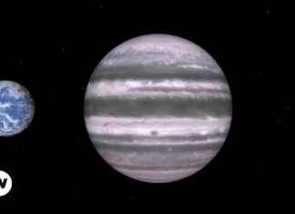 Descubrimiento de cinco planetas similares a Neptuno news-04112024-170525