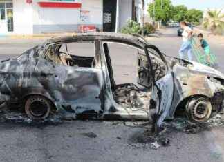 Terrorismo y narcoviolencia en la relación México-Estados Unidos: análisis político. news-08112024-155505