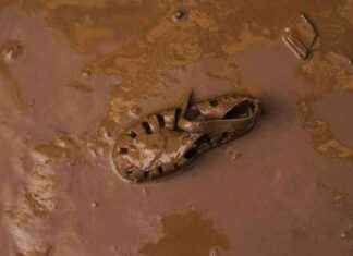 La Tierra en la última edad de hielo: límite intrínseco del cambio climático news-11112024-160126