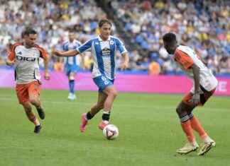 Petxarroman: Una Forma de Recuperar tu Mascota Perdida news-17112024-042748