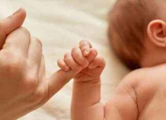 Cómo minimizar la discapacidad en bebés prematuros: Claves y recursos para su evolución news-18112024-043339