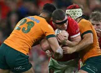 Gales sufre derrota ante Australia y acumula racha histórica de 11 partidos perdidos news-18112024-103830