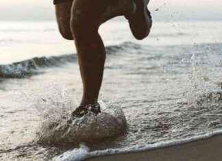 Beneficios del ejercicio físico para el cerebro según José Luis Trejo (CSIC) news-28112024-175857