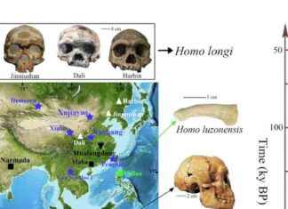 Descubrimiento de la ‘gente del gran cráneo’ desafía lo que sabíamos sobre especies humanas extintas descubrimiento-de-la-gente-del-gran-crneo-desafa-lo-que-sabamos-sobre-especies-humanas-extintas
