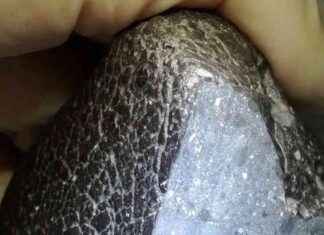 Posible evidencia de agua caliente en Marte: ¿Qué revela? news-01122024-122336