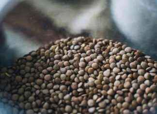 Cómo potenciar los beneficios de las lentejas con un ingrediente extra news-02122024-091039