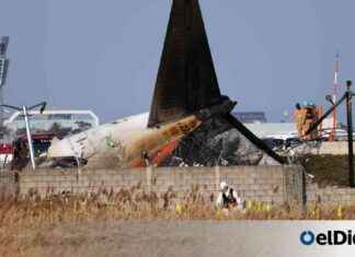 Tragedia: 179 muertos en accidente de avión en Corea del Sur tragedia-179-muertos-en-accidente-de-avin-en-corea-del-sur