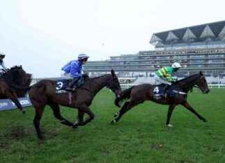 Jonbon impresionante vence a Energumene en la Clarence House Chase: Nicky Henderson apunta a Cheltenham jonbon-impresionante-vence-a-energumene-en-la-clarence-house-chase-nicky-henderson-apunta-a-cheltenham