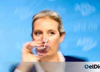 La extrema derecha global envalentonada: Alemania analiza su impacto la-extrema-derecha-global-envalentonada-alemania-analiza-su-impacto