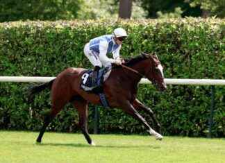 Carrera de caballos en vivo: Polyvega y Hot Darling se enfrentan en Chantilly, con transmisiones en Fontwell, Southwell y Wolverhampton. carrera-de-caballos-en-vivo-polyvega-y-hot-darling-se-enfrentan-en-chantilly-con-transmisiones-en-fontwell-southwell-y-wolverhampton