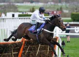 Constitution Hill, la estrella del Festival de Cheltenham en el Champion Hurdle del primer día constitution-hill-la-estrella-del-festival-de-cheltenham-en-el-champion-hurdle-del-primer-da