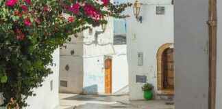 Alineaciones De Cádiz Club De Fútbol Contra FC Barcelona Alineaciones De Cádiz Club De Fútbol Contra FC Barcelona