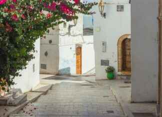 Alineaciones De Cádiz Club De Fútbol Contra FC Barcelona Alineaciones De Cádiz Club De Fútbol Contra FC Barcelona
