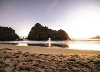 Alineaciones De Rayo Vallecano Contra U. D. Las Palmas Alineaciones De Rayo Vallecano Contra U. D. Las Palmas