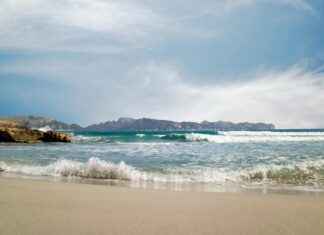 Alineaciones De R.C.D. Mallorca Contra Sevilla FC Alineaciones De R.C.D. Mallorca Contra Sevilla FC