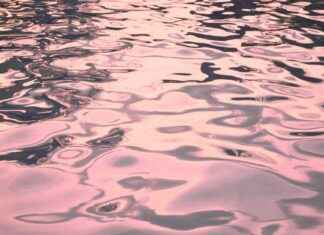 Alineaciones De Valencia C. F. Contra Alavés Alineaciones De Valencia C. F. Contra Alavés