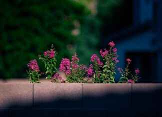 Estadísticas De Girona Futbol Club Contra FC Barcelona Estadísticas De Girona Futbol Club Contra FC Barcelona