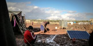 Elegir Un Tema De Investigación: Descubre Cómo Triunfar Fácilmente