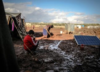 Elegir Un Tema De Investigación: Descubre Cómo Triunfar Fácilmente