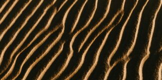 El Signo Lingüístico: ¿Qué Es Y Por Qué Es Tan Importante?