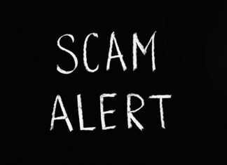 Aprender Con Castigo O Con Premio: ¿Cuál Método Realmente Funciona?