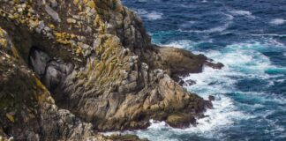 Alineaciones De Pontevedra C.F. Contra Getafe C.F.: ¿Quién Triunfará?