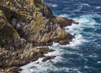 Alineaciones De Pontevedra C.F. Contra Getafe C.F.: ¿Quién Triunfará?