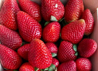 Alineaciones De Celta De Vigo Contra Valencia C. F.: ¿Quién Sorprenderá?