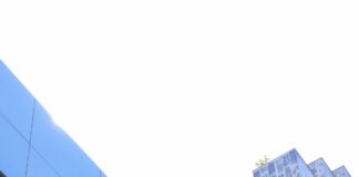 Alineaciones De Albacete Balompié Contra Real Oviedo: ¿Quién Sorprenderá?