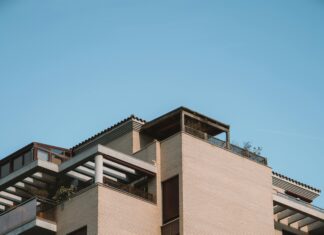 Alineaciones De Valencia C. F. Contra Real Sociedad: ¿Quién Sorprenderá?